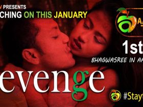 The Revenge AappyTV Web Series All Episodes Free Download