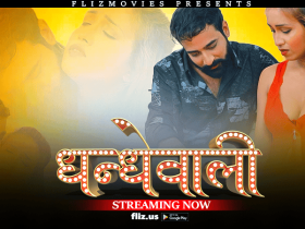 Dhandhewali Fliz Movies Web Series